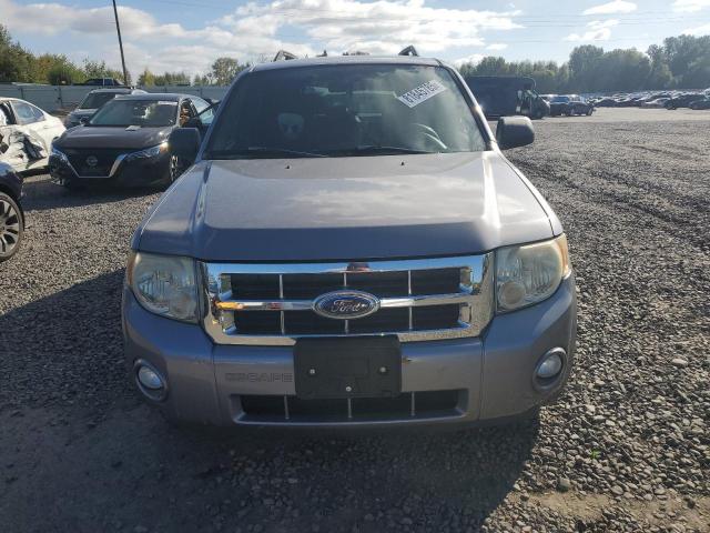 Ford Escape Xlt Image 7