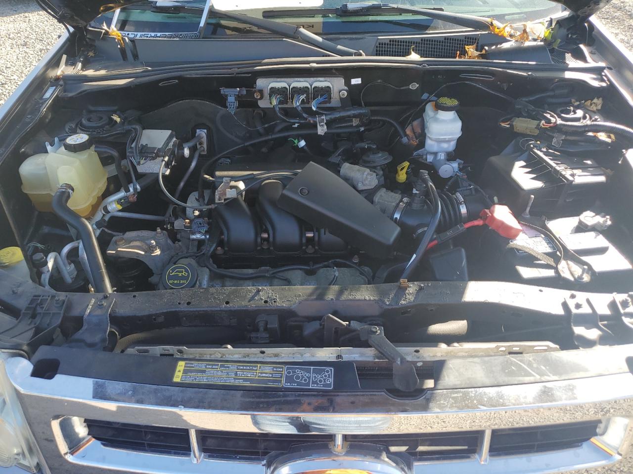 Ford Escape Xlt Image 8