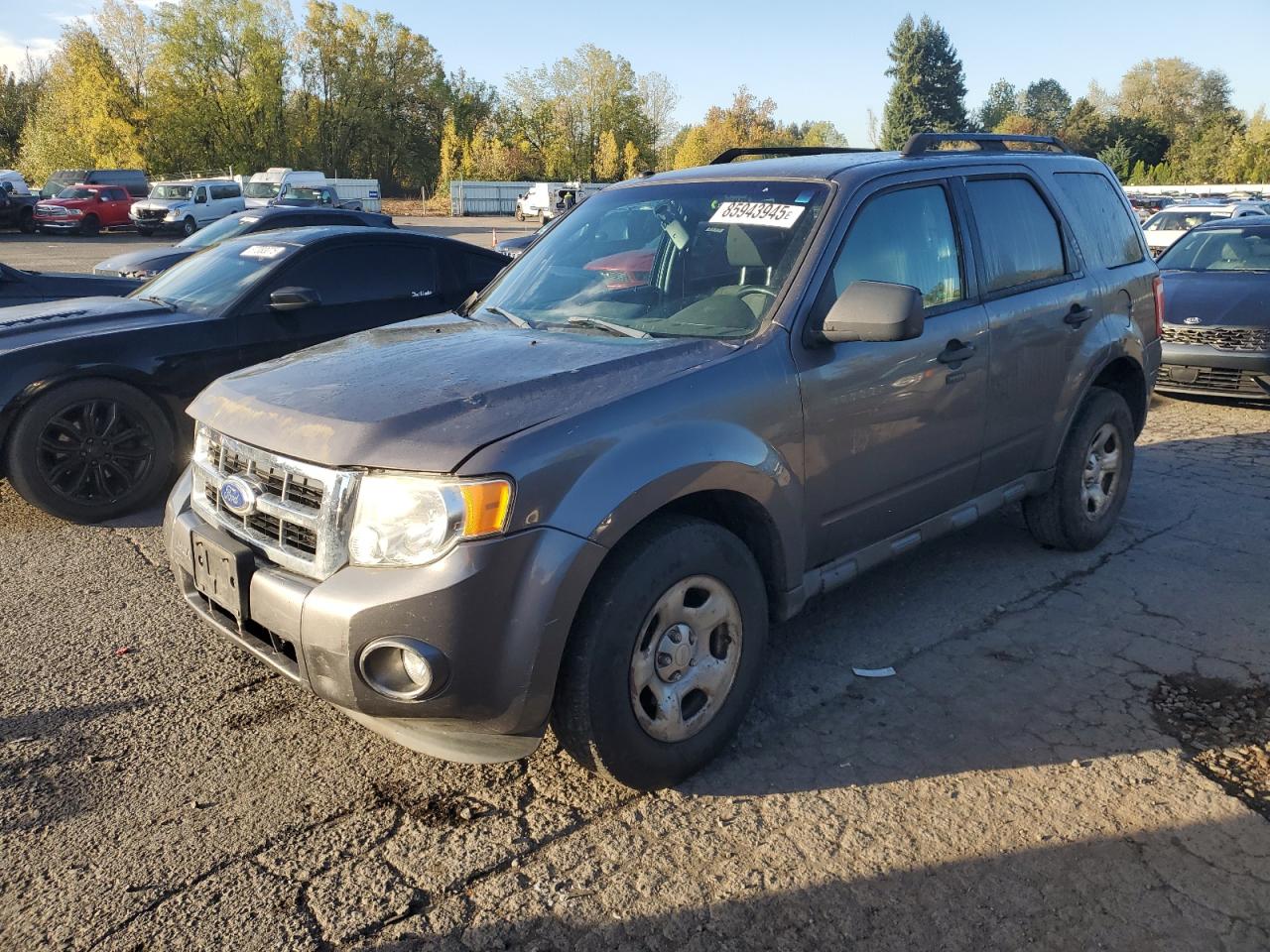 Ford Escape Xlt Image 1