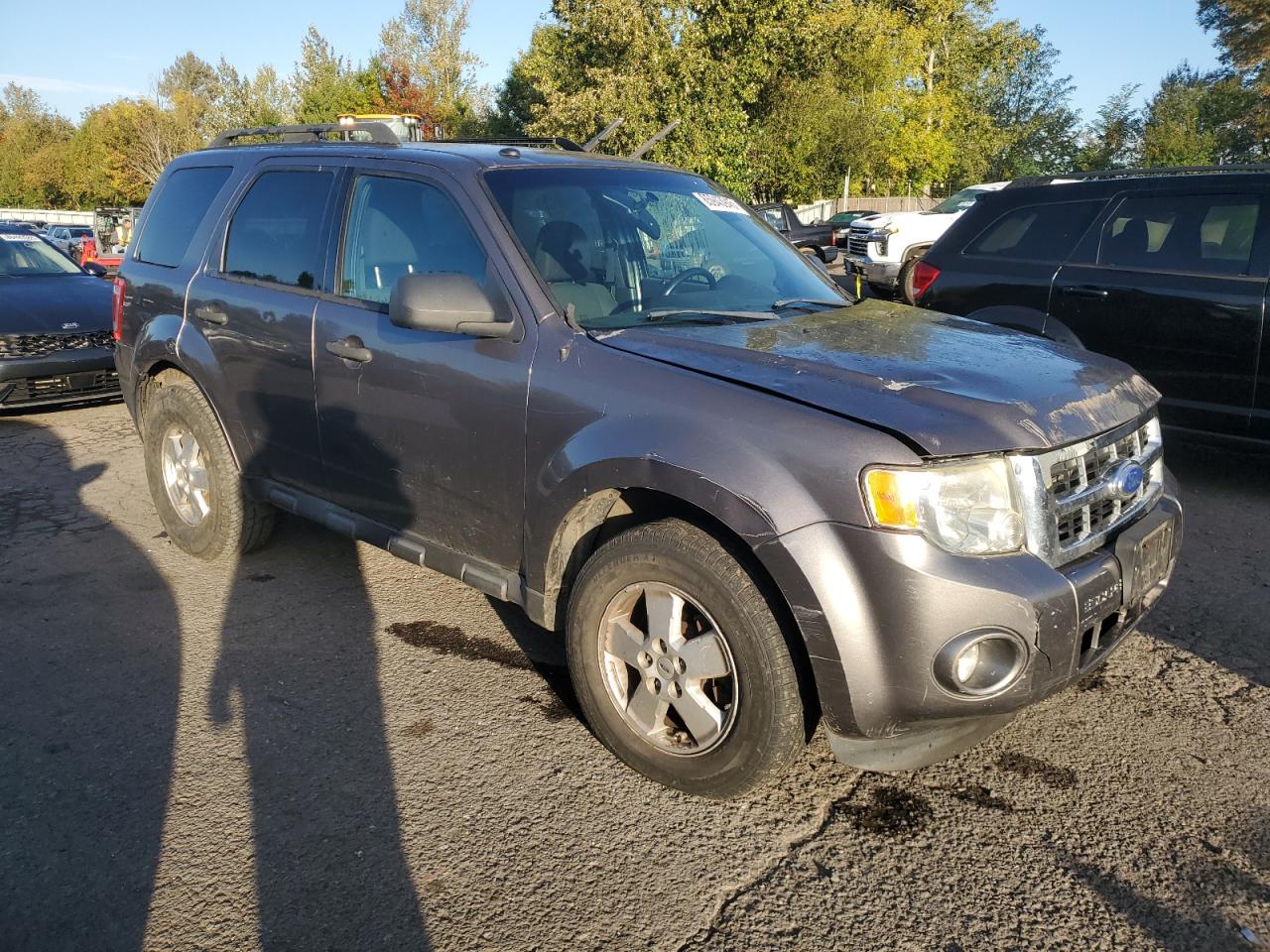Ford Escape Xlt Image 8