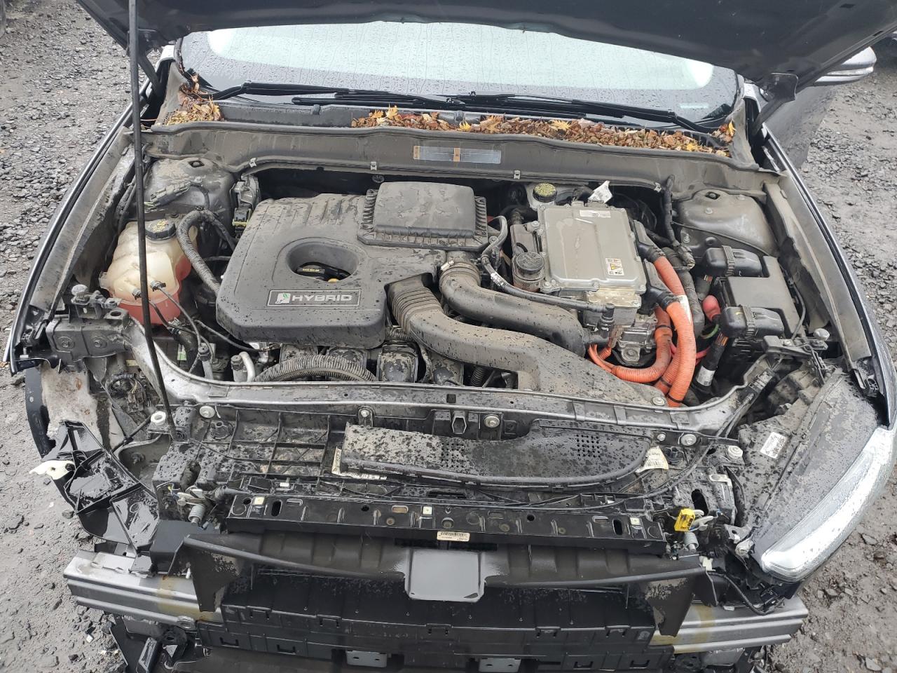 Ford Fusion Se Hybrid Image 7