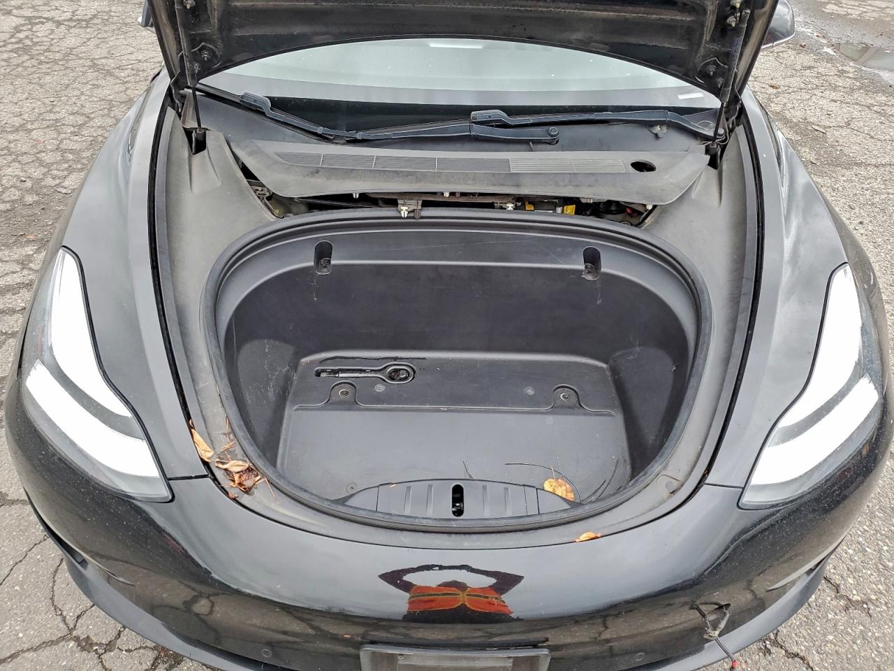 Tesla Model 3 Image 6