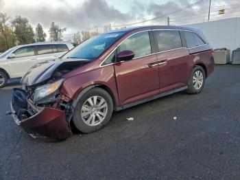  Salvage Honda Odyssey