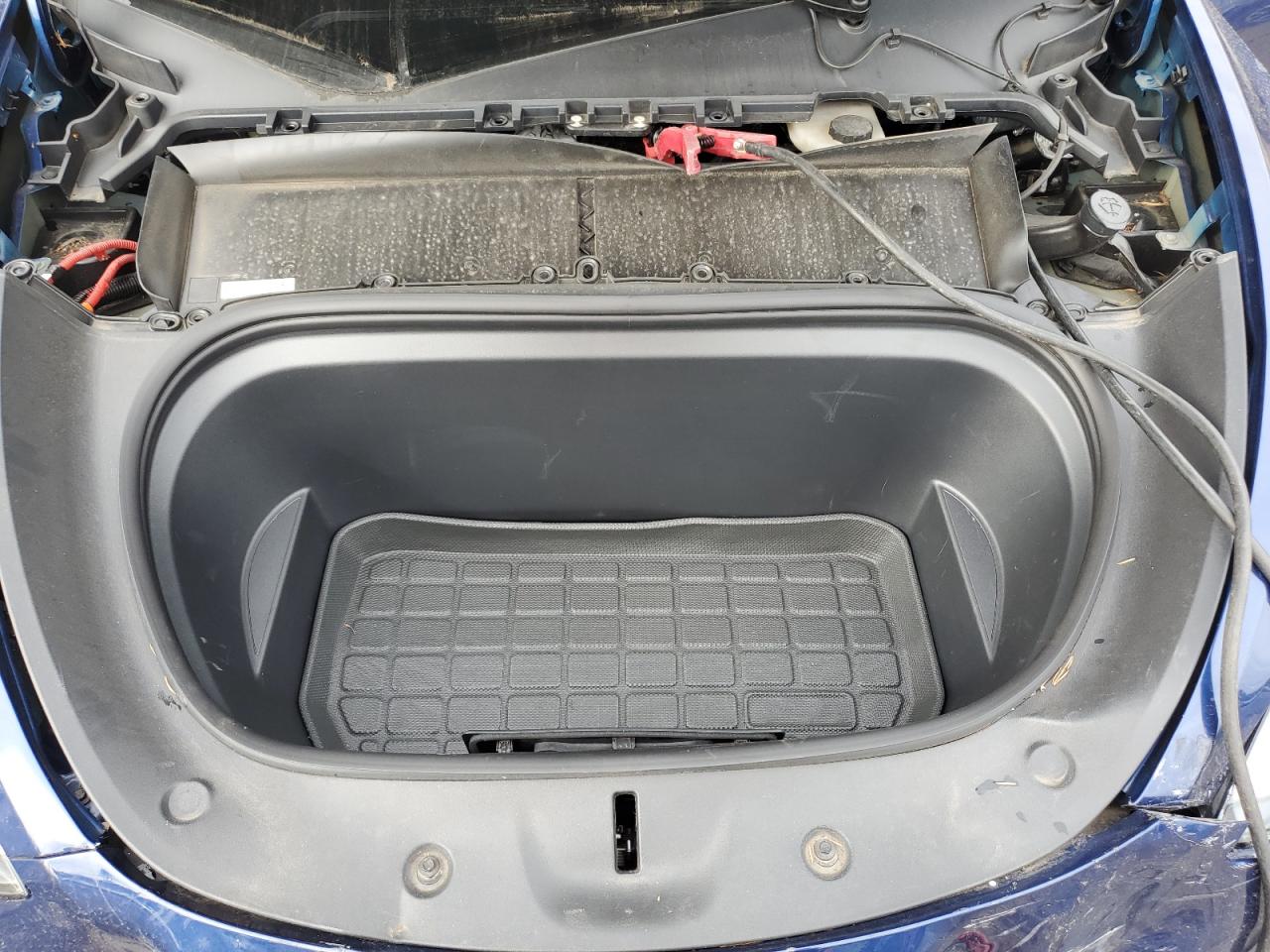 Tesla Model Y Image 8