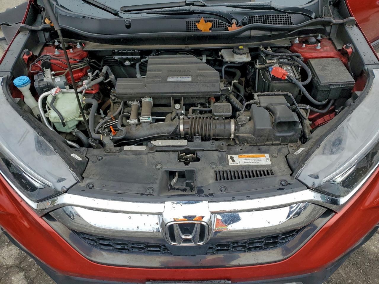 Honda Crv Exl Image 9