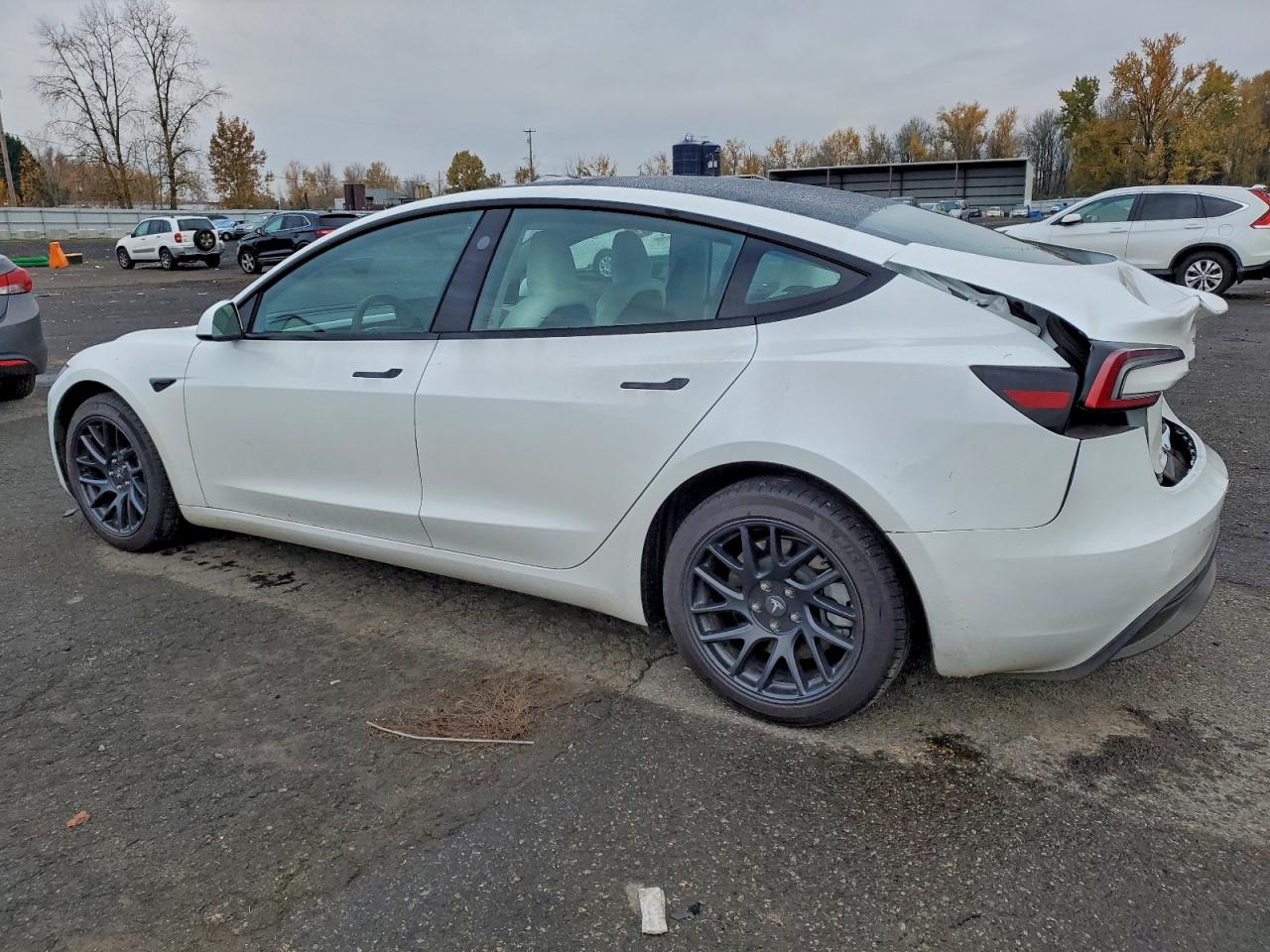 Tesla Model 3 Image 7