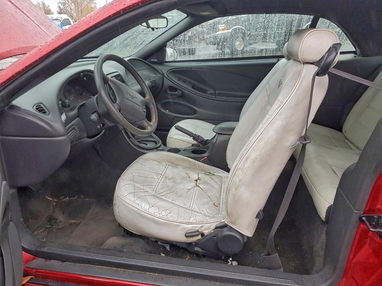 Ford Mustang Image 3