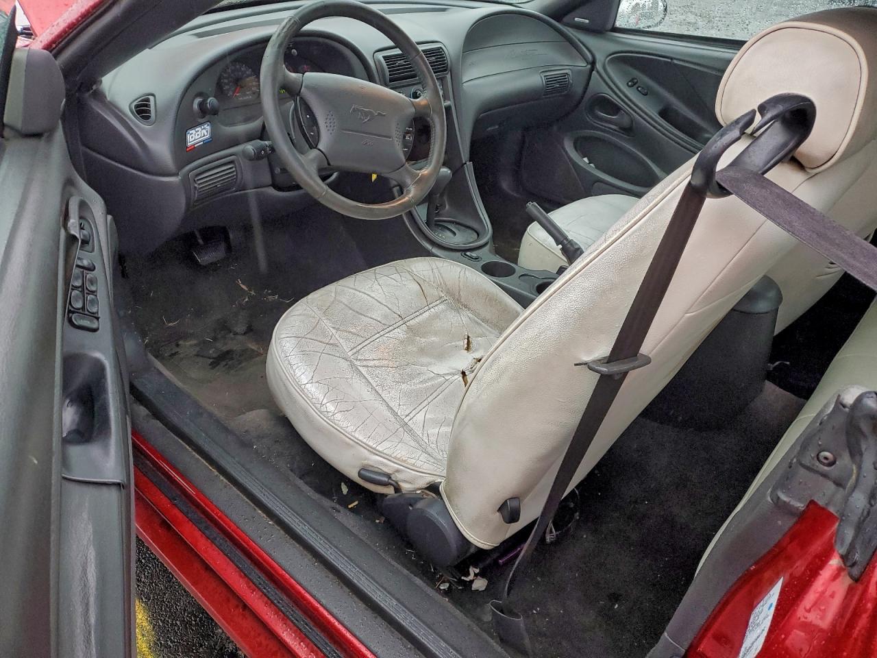 Ford Mustang Image 8