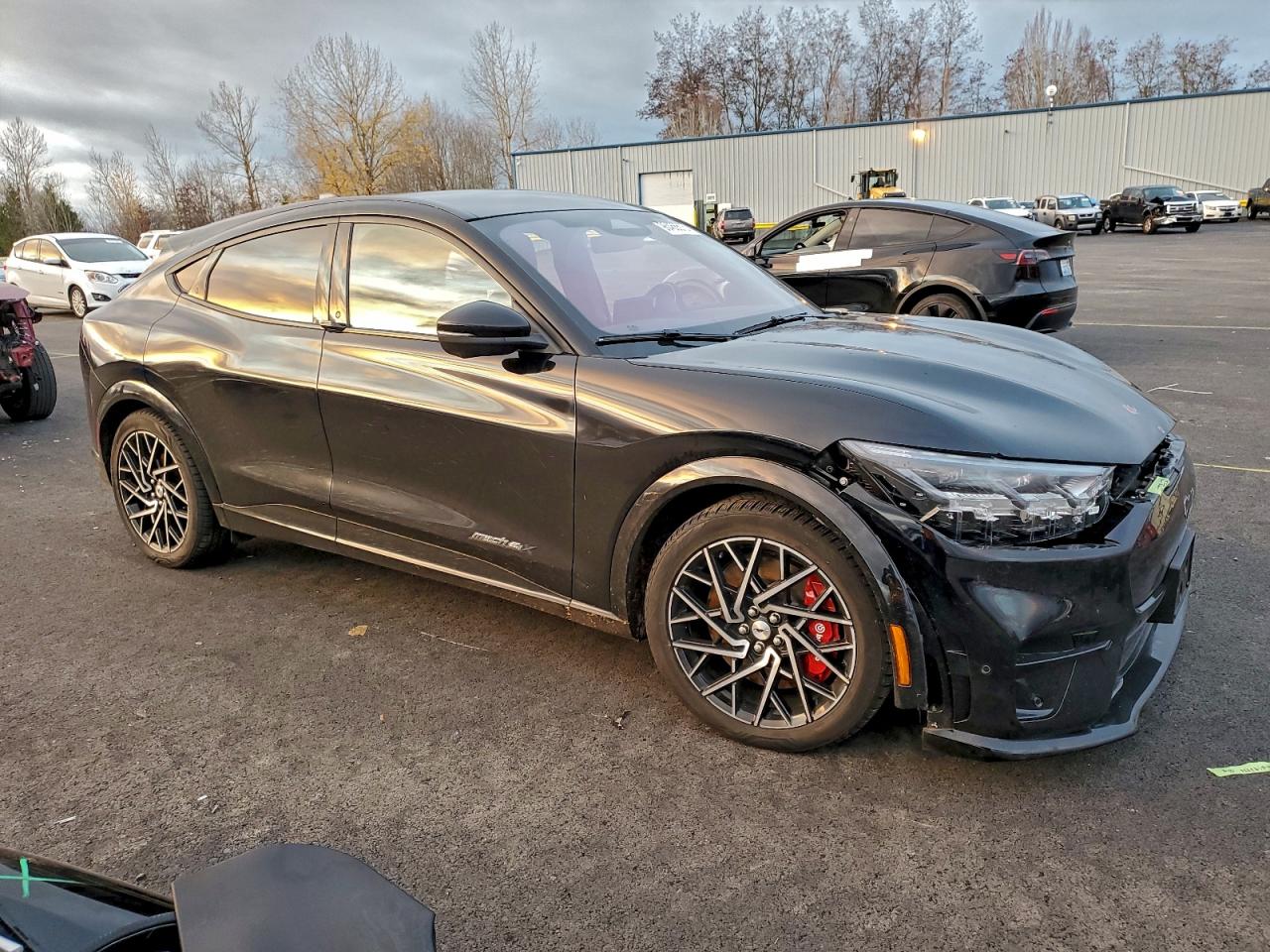 Ford Mustang Gt Image 6