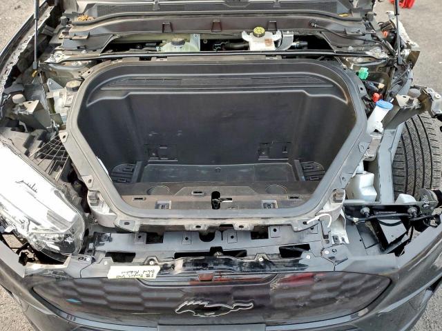 Ford Mustang Gt Image 11