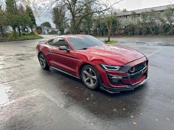  Salvage Ford Mustang