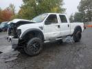 Ford F-250 Super Duty Image 1