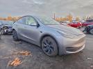 Tesla Model Y Image 7