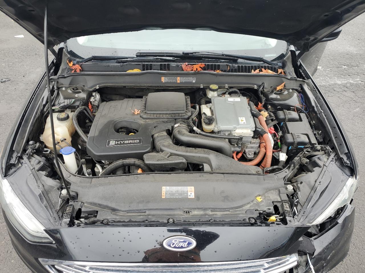 Ford Fusion Se Hybrid Image 5