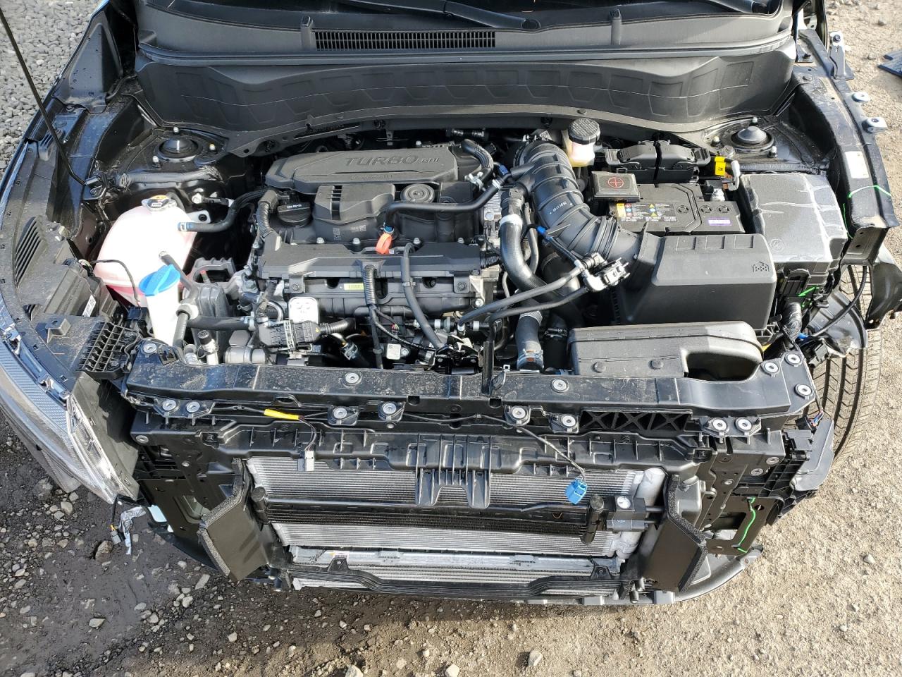 Kia Seltos X Line Image 4