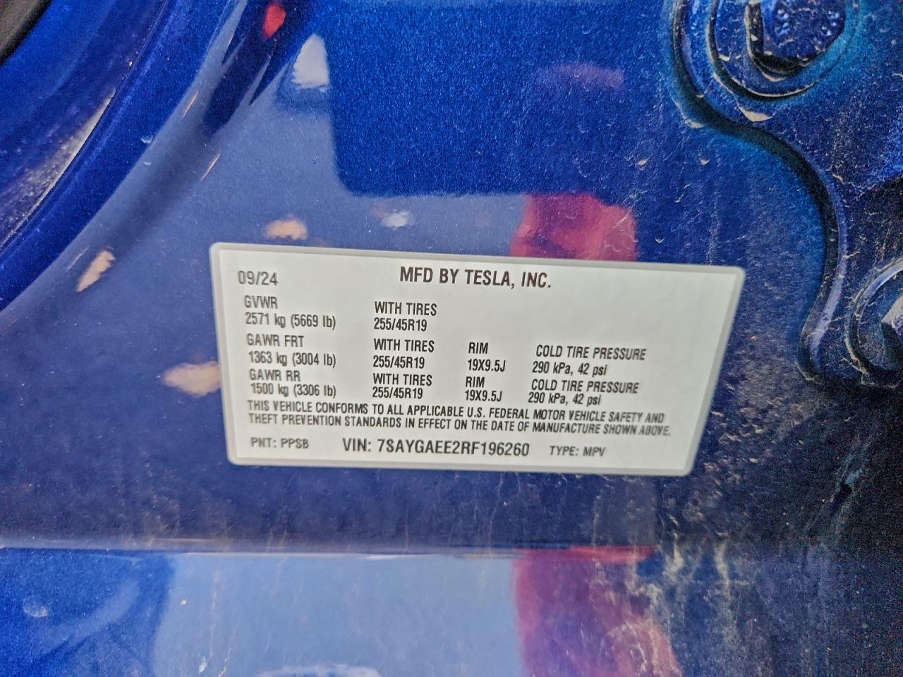 Tesla Model Y Image 9