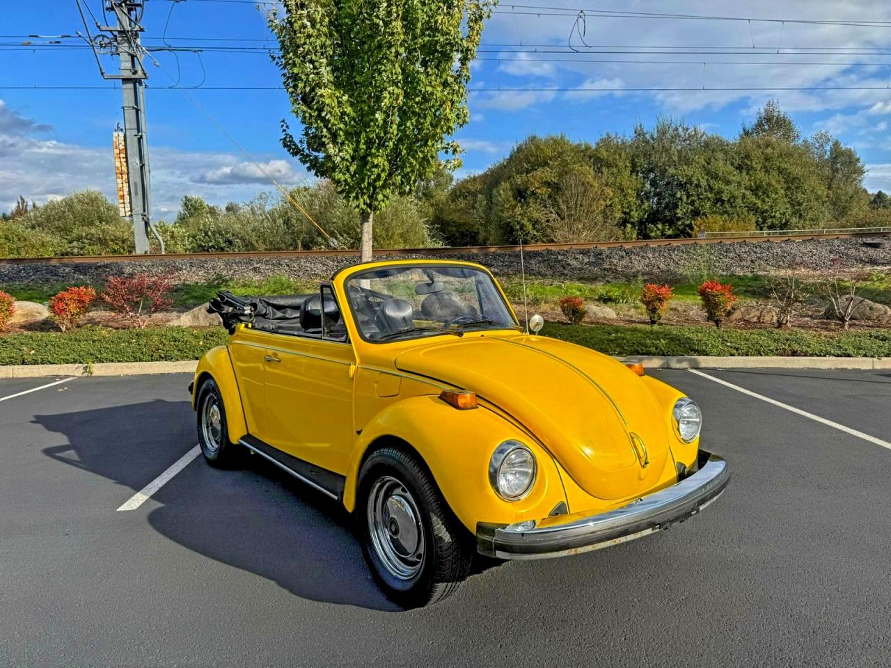 Volkswagen Beetle Image 1