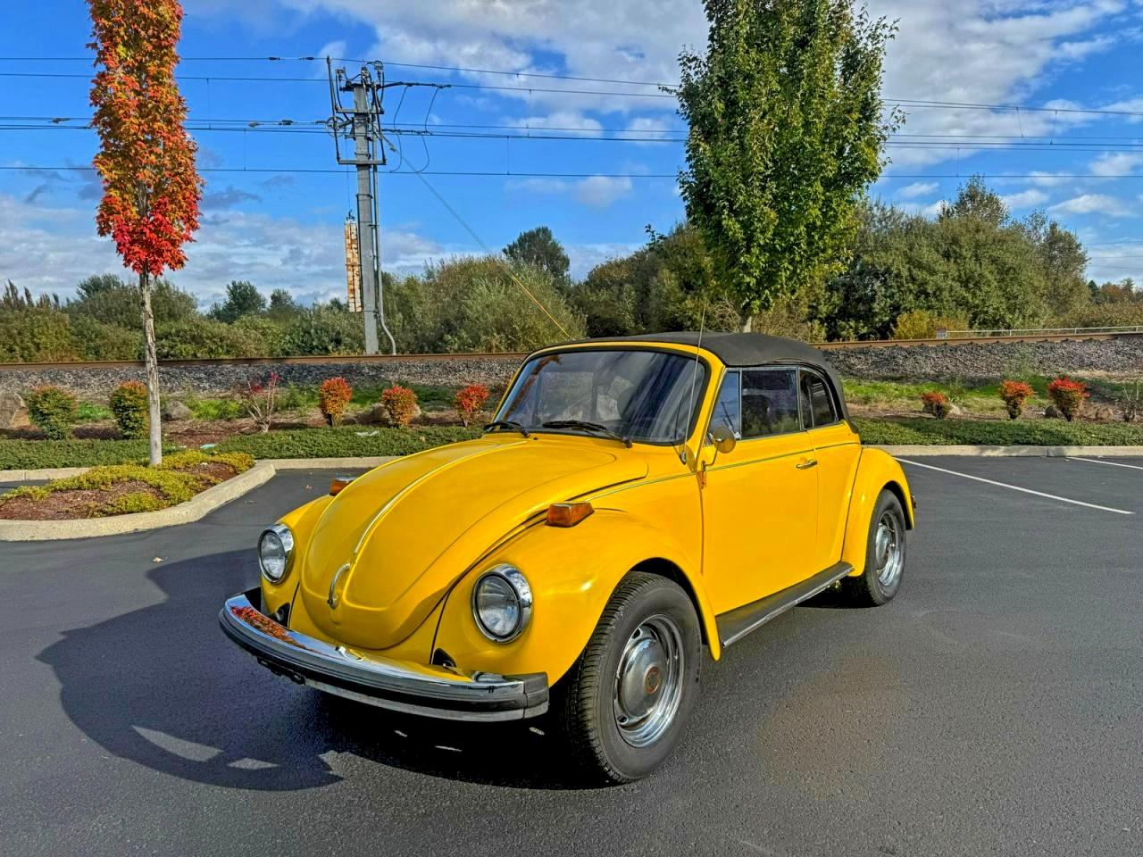 Volkswagen Beetle Image 6