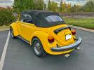 Volkswagen Beetle Image 9