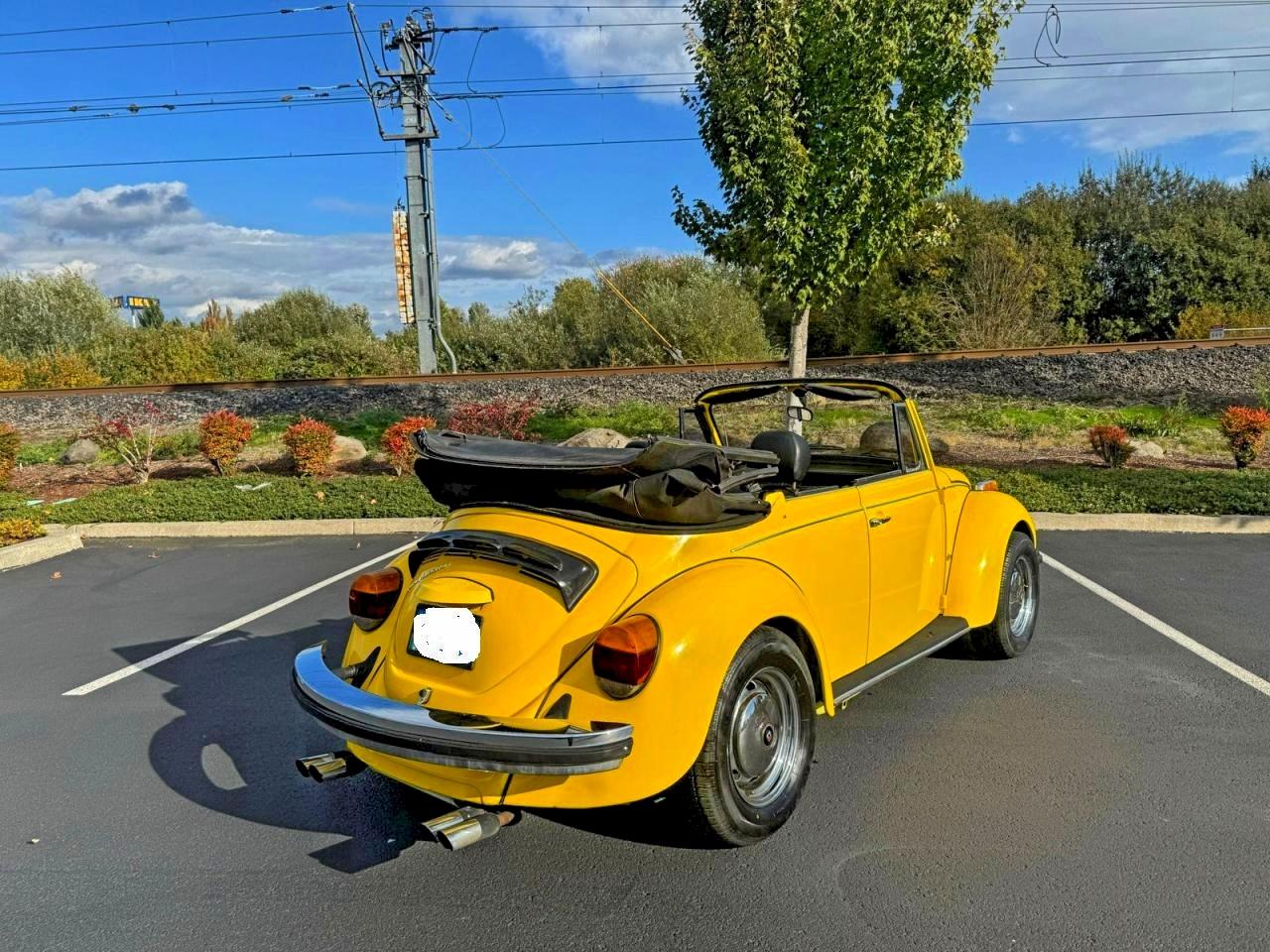 Volkswagen Beetle Image 7