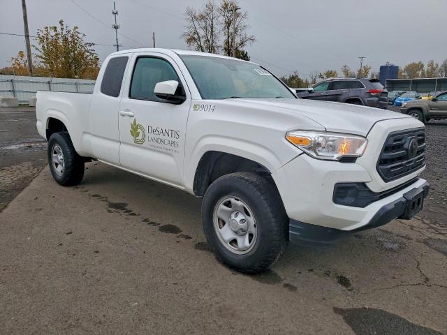 Toyota Tacoma Access Cab Image 2