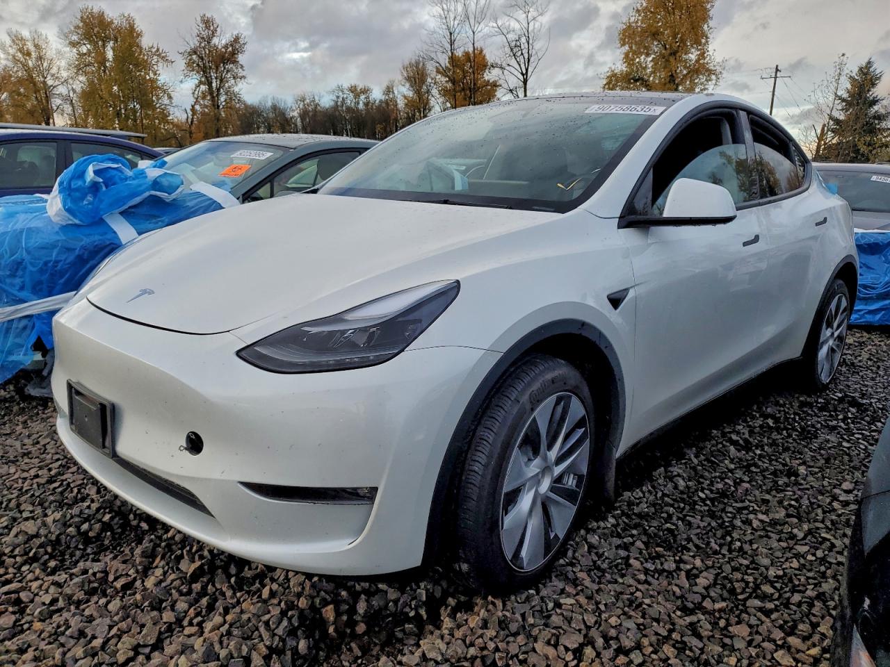Tesla Model Y Image 1