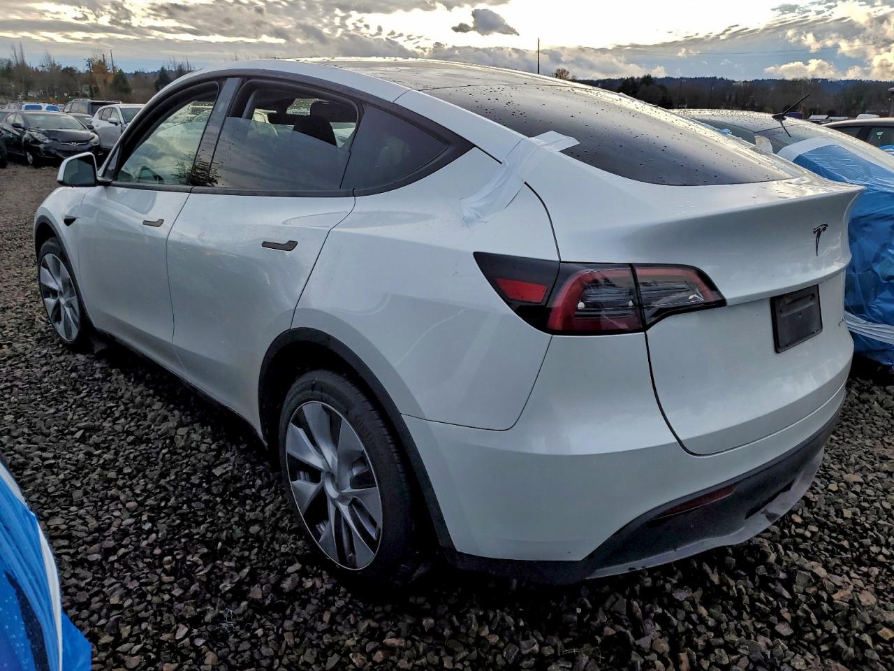 Tesla Model Y Image 2