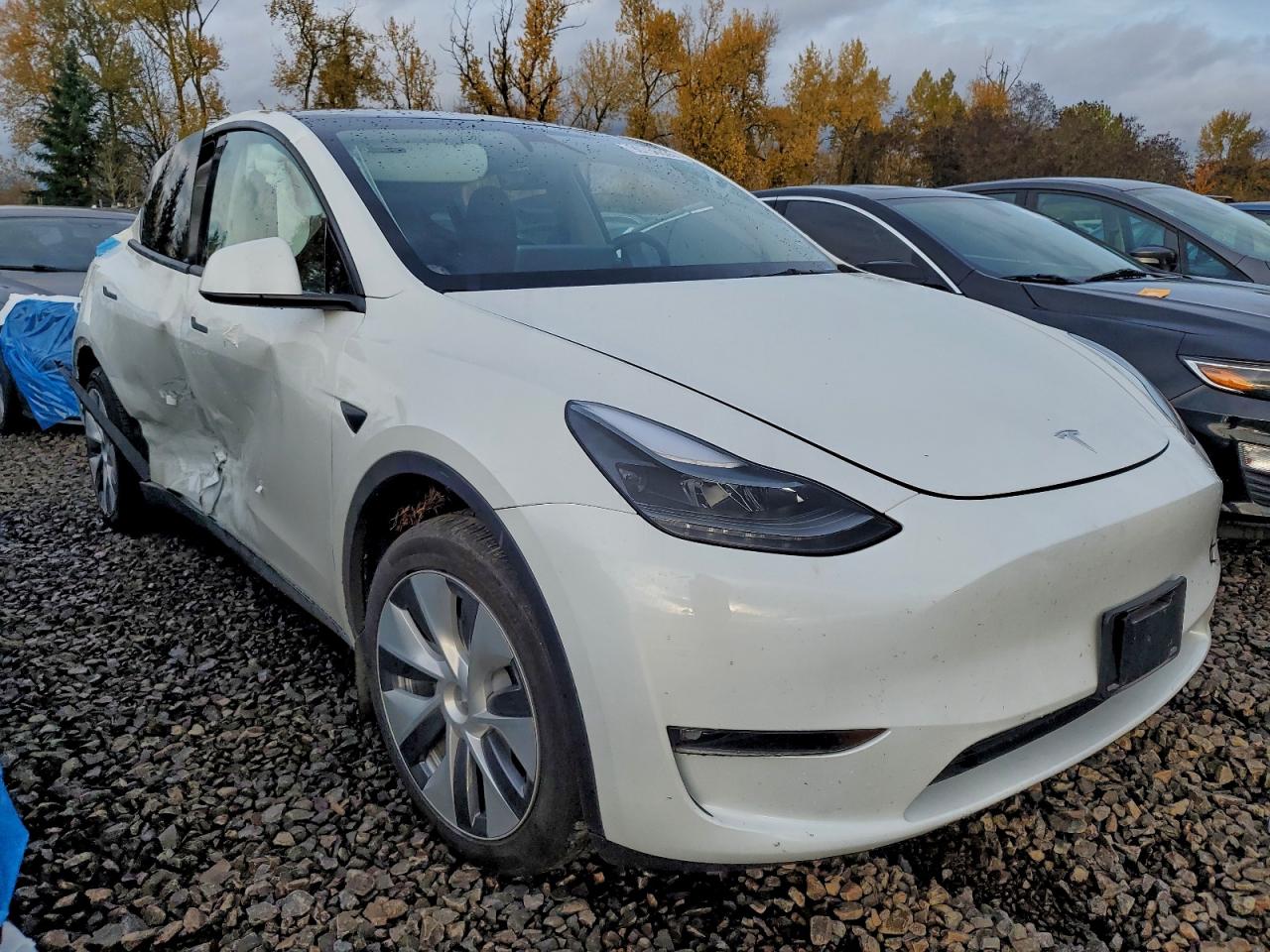 Tesla Model Y Image 9