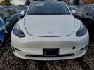 Tesla Model Y Image 10