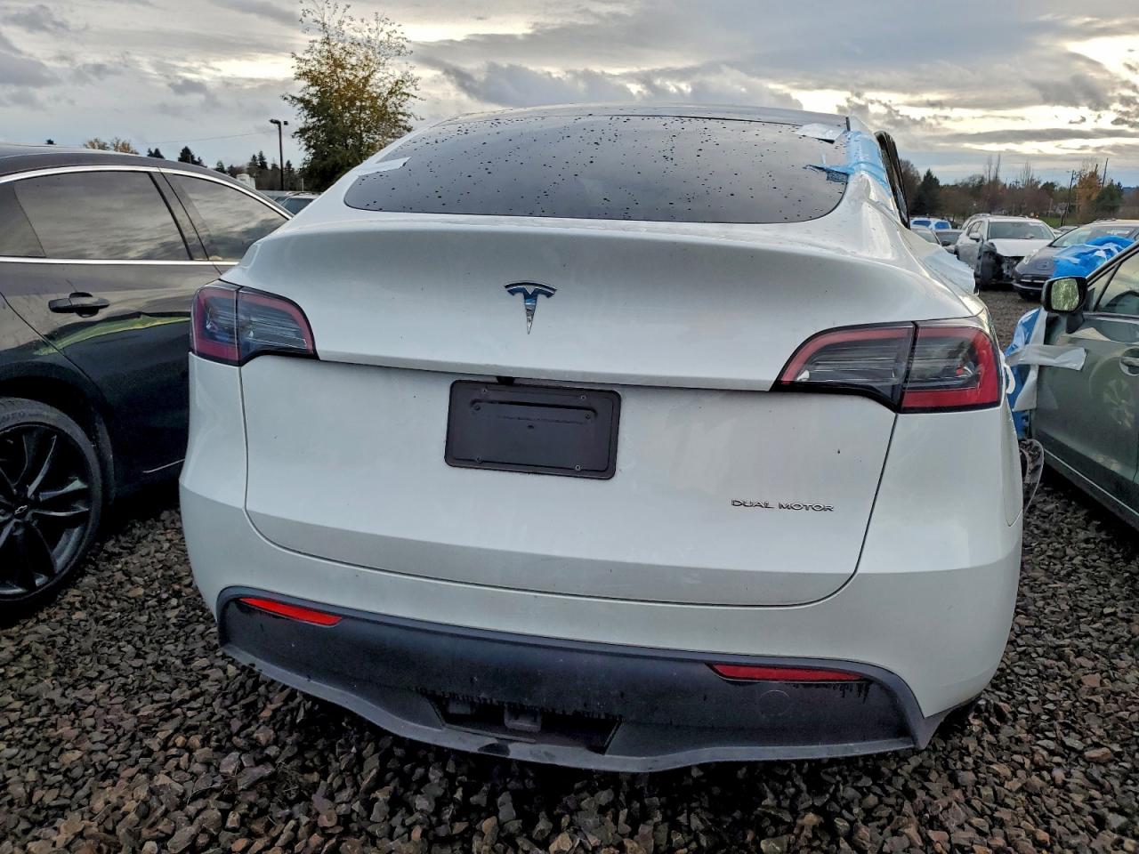 Tesla Model Y Image 5