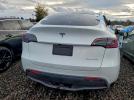 Tesla Model Y Image 5