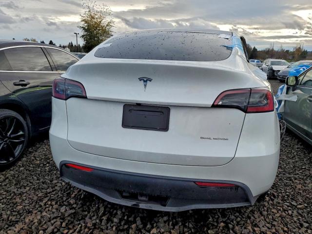 Tesla Model Y Image 5