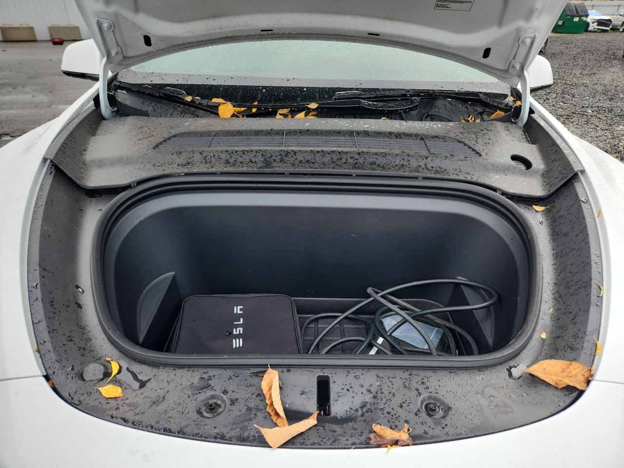 Tesla Model Y Image 8