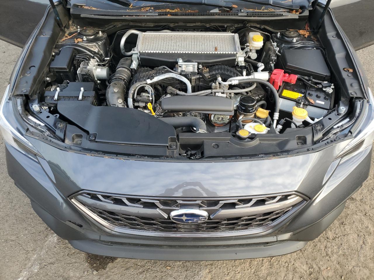 Subaru WRX Limited Image 9