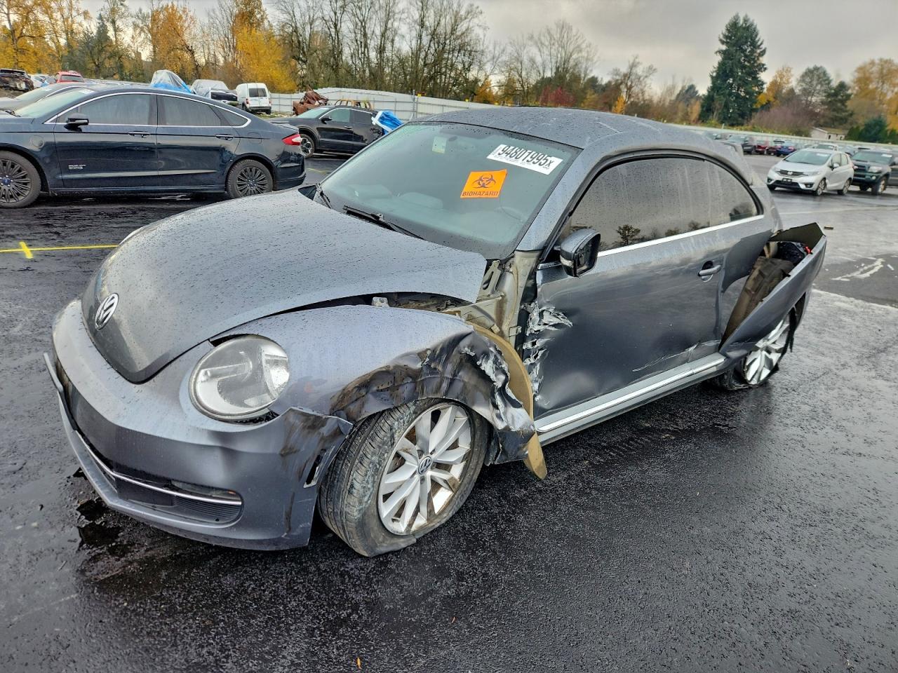 Volkswagen Beetle Image 1