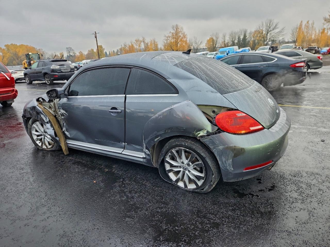 Volkswagen Beetle Image 10