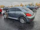 Volkswagen Beetle Image 10