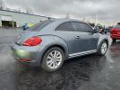 Volkswagen Beetle Image 4
