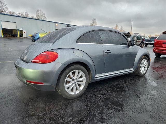 Volkswagen Beetle Image 4