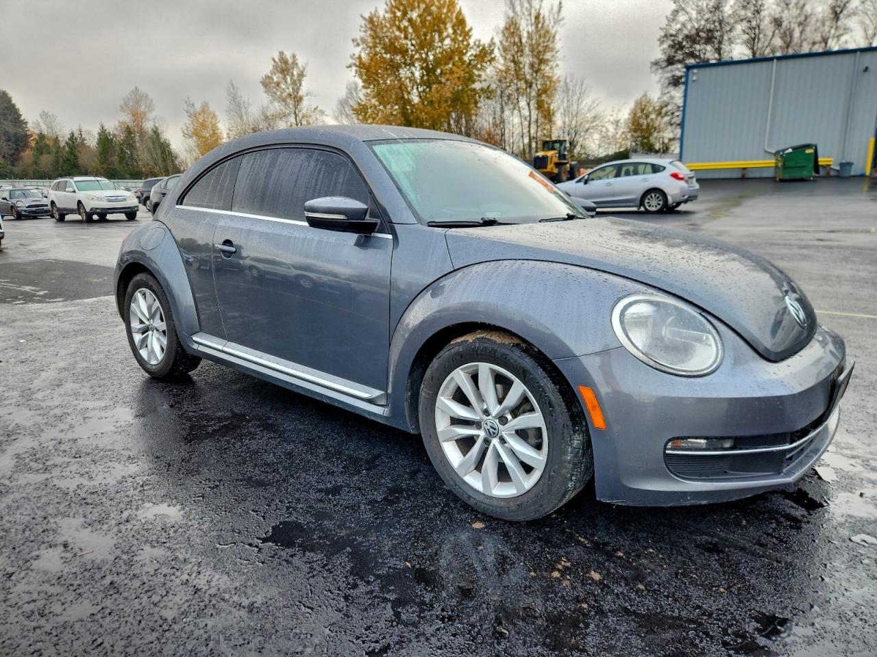 Volkswagen Beetle Image 2