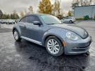Volkswagen Beetle Image 2