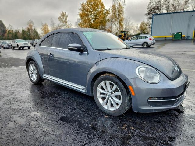 Volkswagen Beetle Image 2