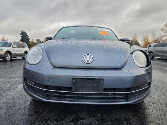 Volkswagen Beetle Image 7