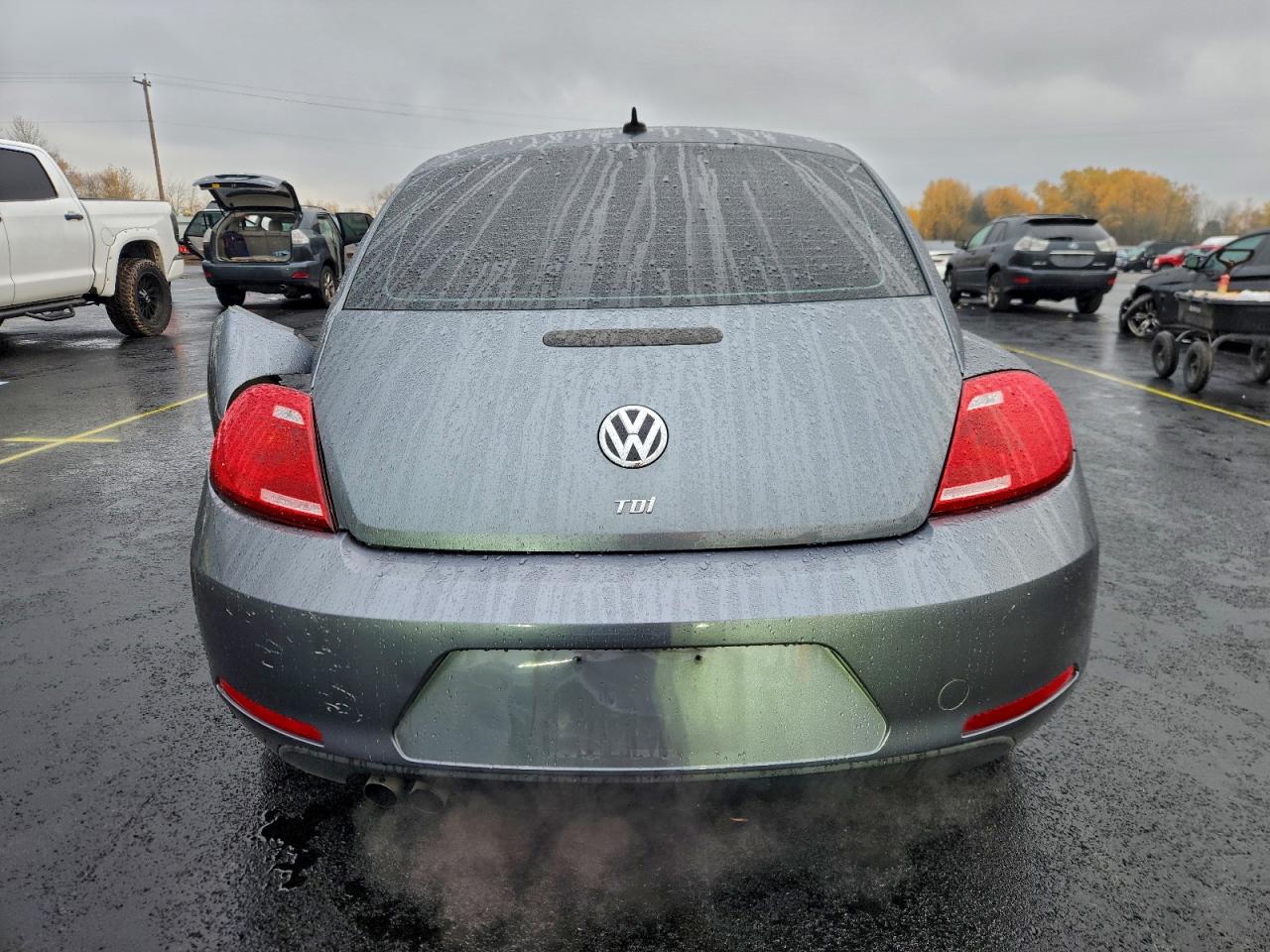 Volkswagen Beetle Image 9