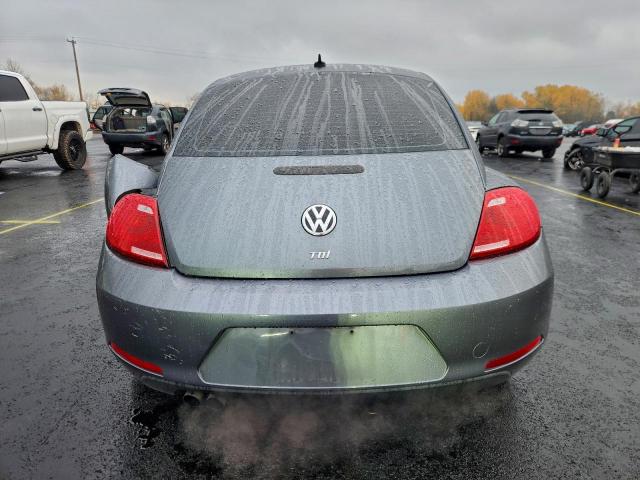 Volkswagen Beetle Image 9