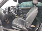 Volkswagen Beetle Image 8