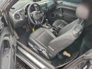 Volkswagen Beetle Image 5