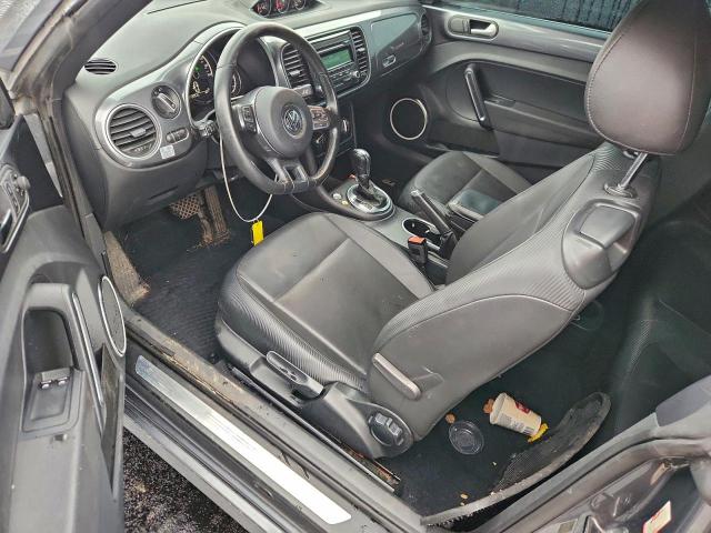 Volkswagen Beetle Image 5