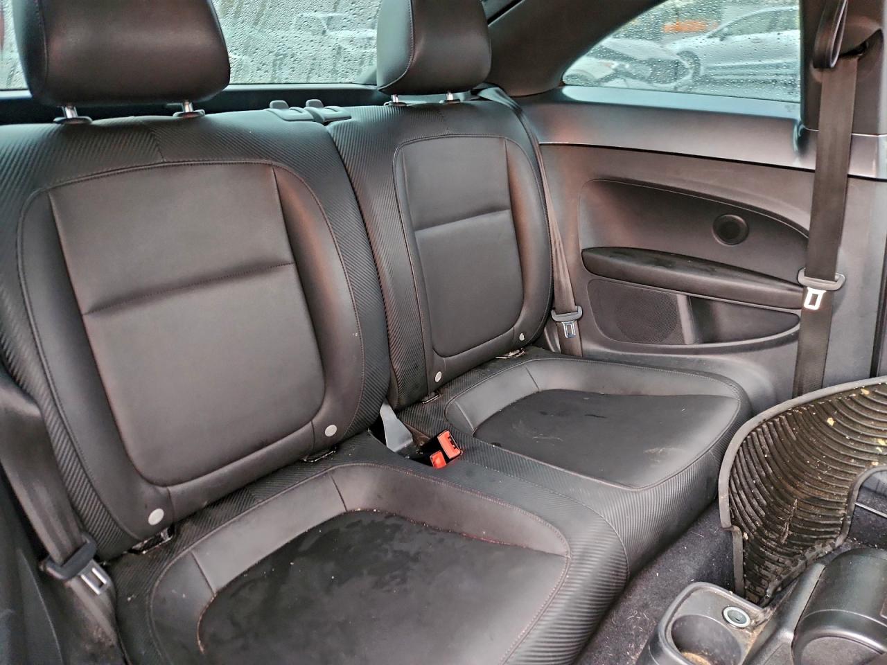 Volkswagen Beetle Image 6