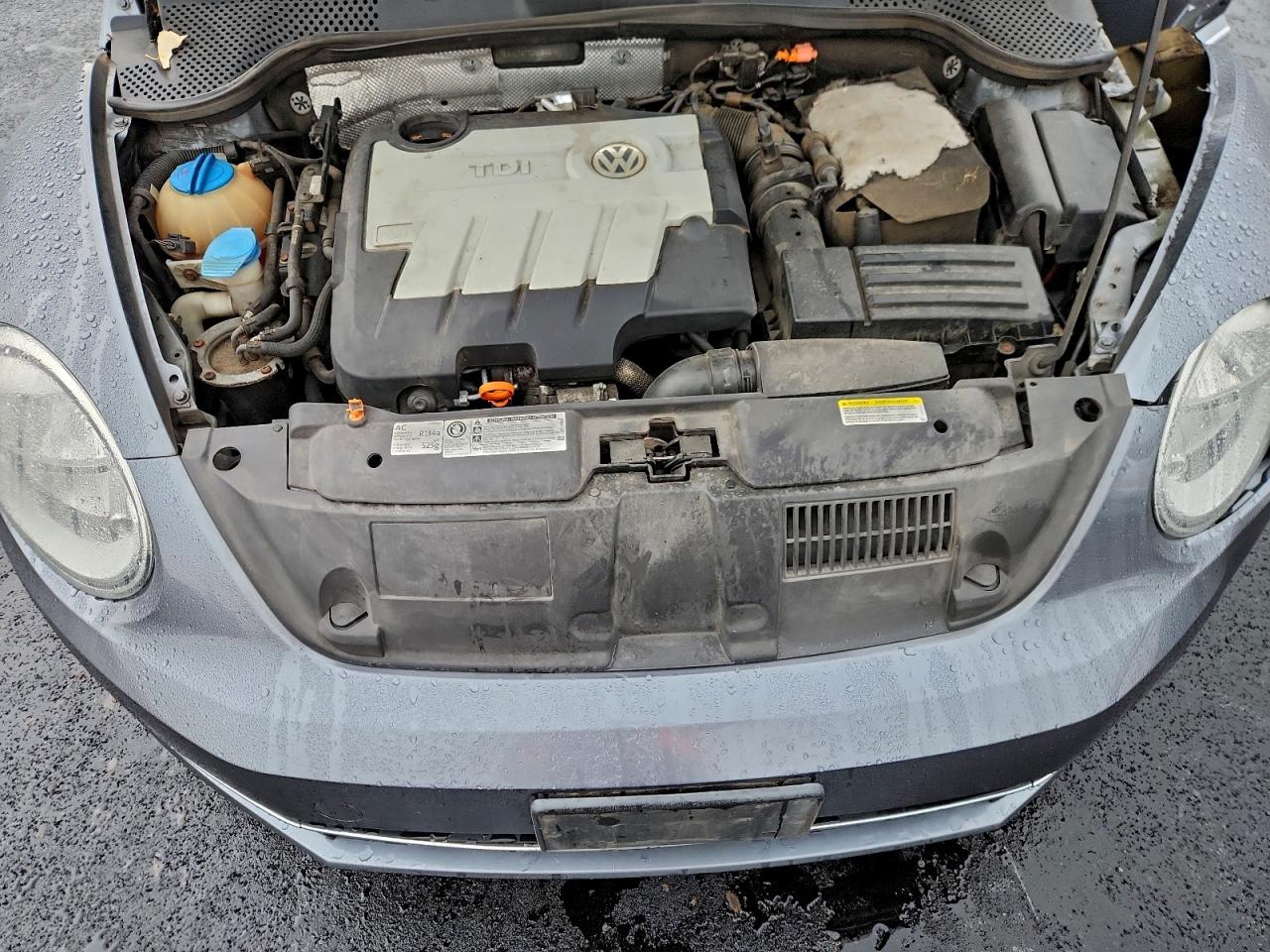 Volkswagen Beetle Image 12